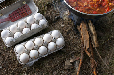 On a spacious lawn on a spring day, we prepare an omelette with vegetables by baking 
