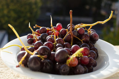 Close-up of grapes in plate