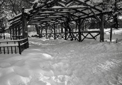 Snow covered trees against sky