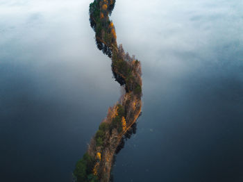 Plant by lake against sky