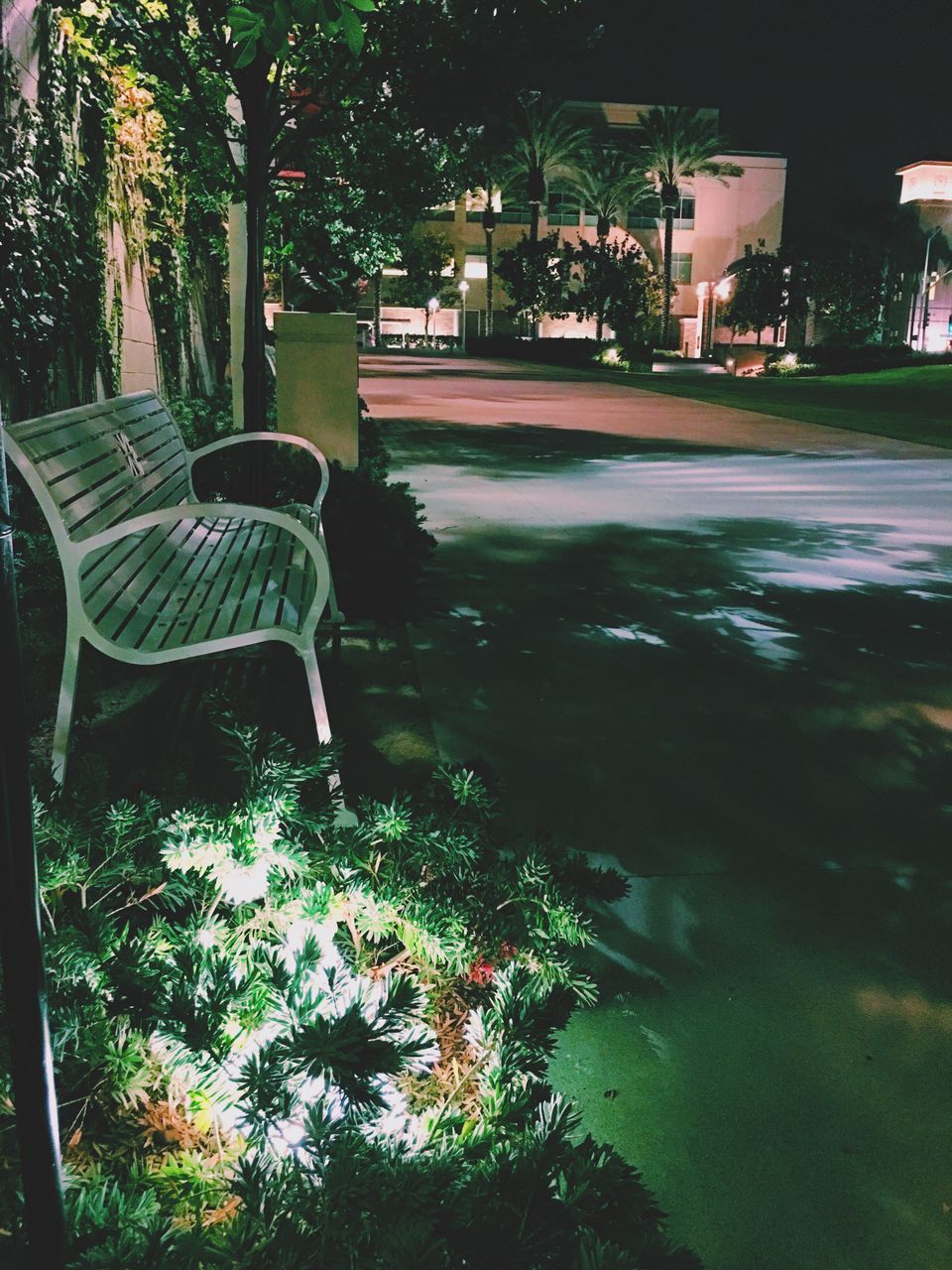 plant, nature, building exterior, tree, architecture, city, seat, night, no people, empty, illuminated, built structure, transportation, bench, park, car, outdoors, mode of transportation, street, motor vehicle, park bench