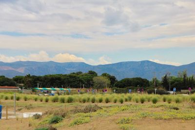 Scenic view of landscape and mountains against sky