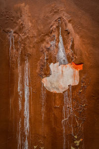 Close-up of water splashing on wood