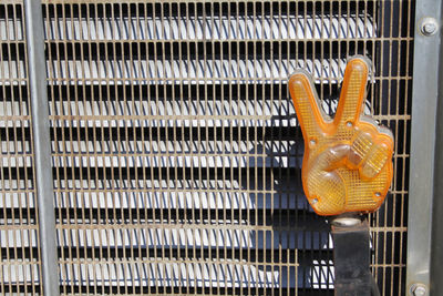 Close-up of snake on metal