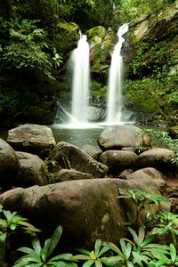 Scenic view of waterfall in forest