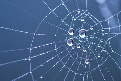 Low angle view of water drops on spider web