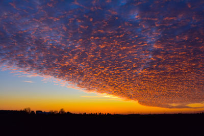 Silhouette trees on field against orange sky