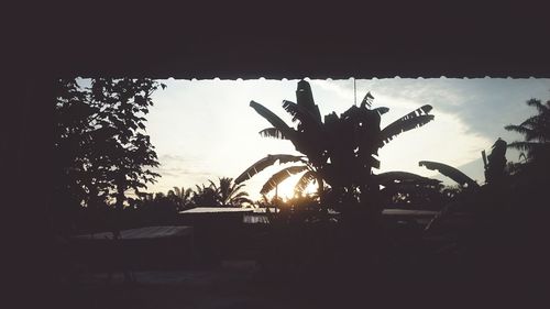 Close-up of silhouette plants against sky