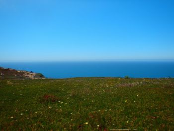 Scenic view of sea against clear sky