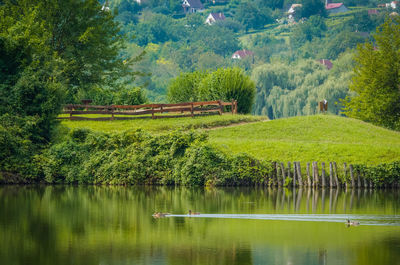 Scenic view of lake by trees against sky