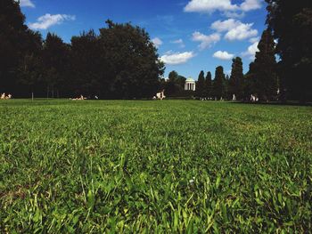 Scenic view of grassy field against sky