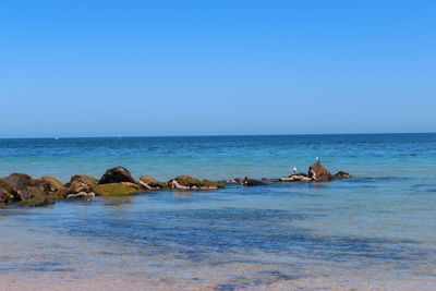 Scenic view of rocks in sea against clear blue sky