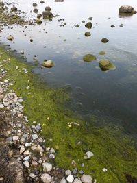 Scenic view of lake