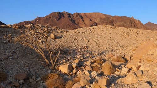 Rock formations in desert against sky