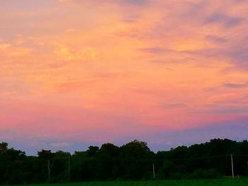 Silhouette trees on field against sky at sunset