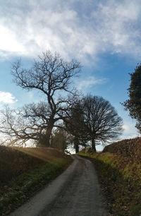 Dirt road along bare trees and plants against sky