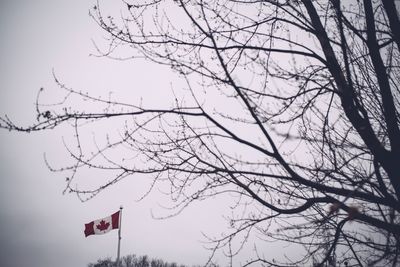 Low angle view of flag against sky