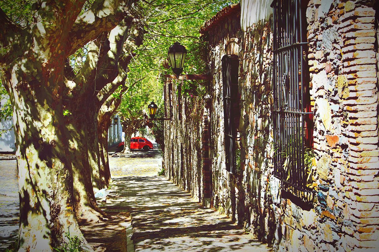 built structure, architecture, building exterior, the way forward, tree, footpath, narrow, plant, house, wall - building feature, walkway, growth, pathway, day, alley, tree trunk, outdoors, residential structure, sunlight, street