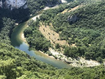 High angle view of river amidst trees in forest