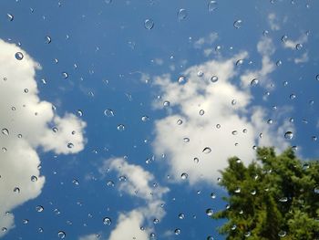 Full frame shot of wet window