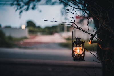 Close-up of illuminated light bulb at dusk