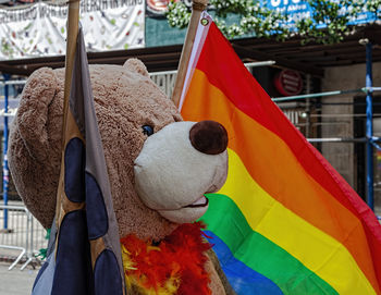 Close-up of teddy bear with gay pride flag outdoors