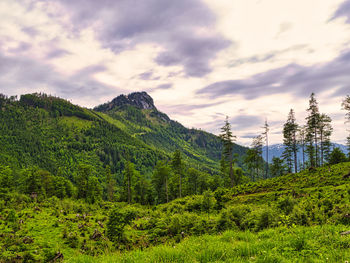 Scenic view of landscape against sky