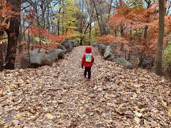 Small boy walking over stone bridge in forest park during autumn 