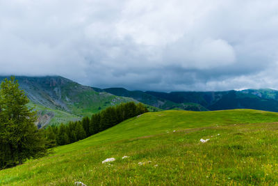 environment