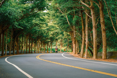 Empty road amidst trees