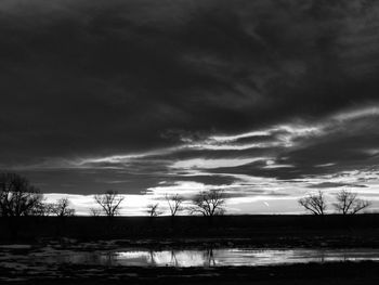 Bare trees against cloudy sky