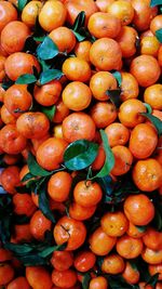 Full frame shot of fruits in market