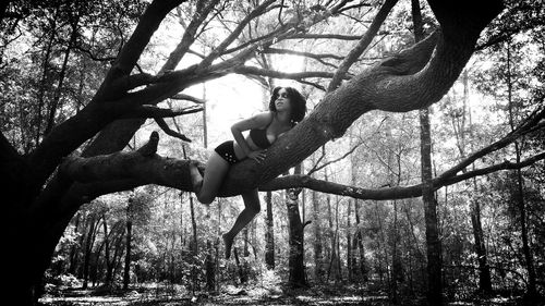 Low angle view of woman lying on branch in forest