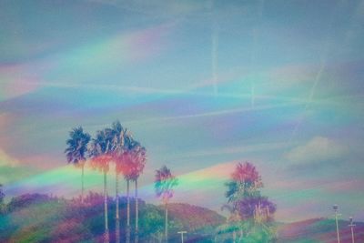 Low angle view of rainbow over trees against sky