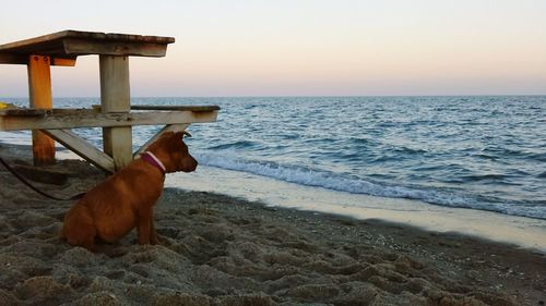 Scenic view of sea against sky at sunset