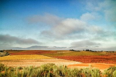 Scenic view of field against cloudy sky