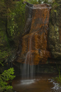 Scenic view of waterfall in forest