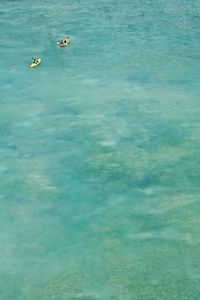 High angle view of person swimming in water