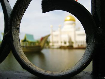 Close-up of plant against blurred background