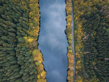 Scenic view of forest against sky during autumn