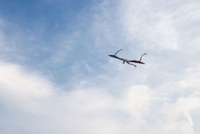 Low angle view of kite flying against sky