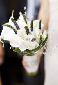 Close-up of white flowers