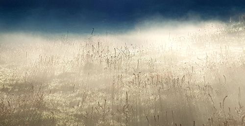 Scenic view of wet glass window during rainy season