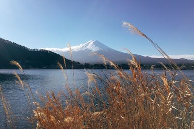 Scenic view of lake against clear sky