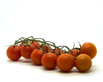 Close-up of oranges against white background