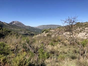 Scenic view of landscape against clear blue sky