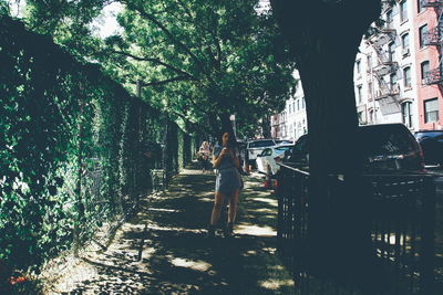 Man standing on footpath by trees in city