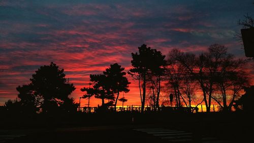 Silhouette trees against sky at night