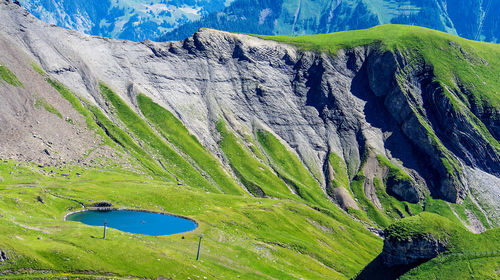 High angle view of leaf on rock in water