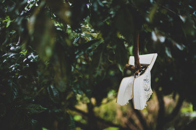 Close-up of white tied hanging on tree